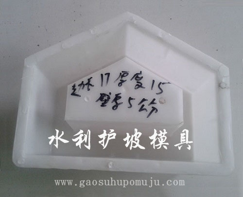 1607063854178156.jpg 連鎖護(hù)坡磚模具